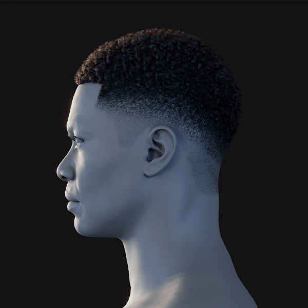 Pixelhair ready-made afro fade 3d hairstyle in blender using blender hair particle system