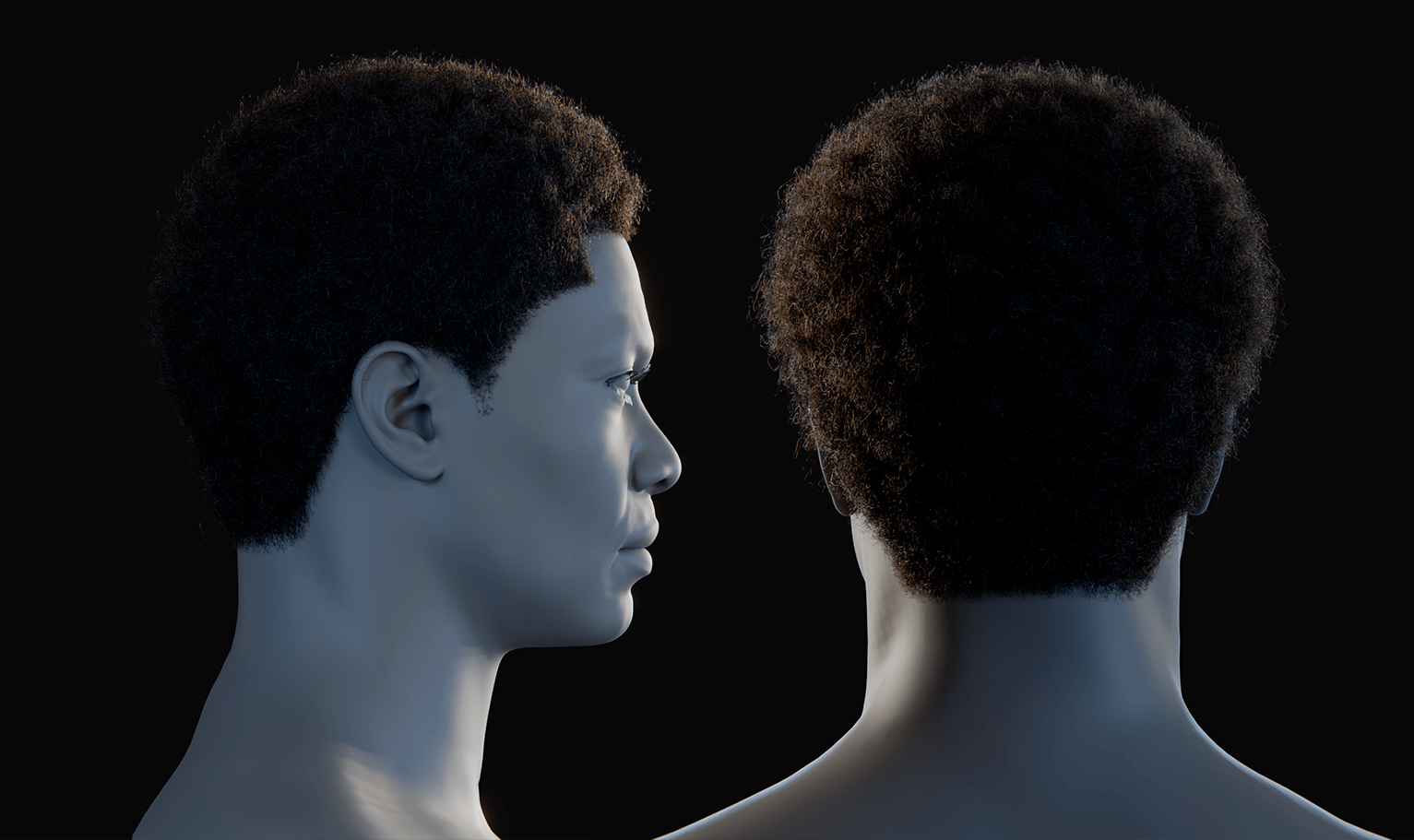 PixelHair ready-made Kobe Inspired Afro 3D hairstyle in Blender using Blender hair particle system