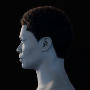 PixelHair ready-made Kobe Inspired Afro 3D hairstyle in Blender using Blender hair particle system