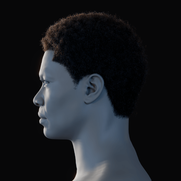 PixelHair ready-made Kobe Inspired Afro 3D hairstyle in Blender using Blender hair particle system