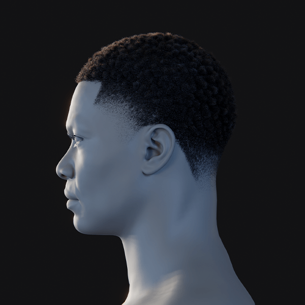 Pixelhair ready-made afro fade 3d hairstyle in blender using blender hair particle system