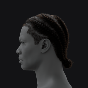 PixelHair ready-made Big Sean braids 3D hairstyle in Blender using hair particle system