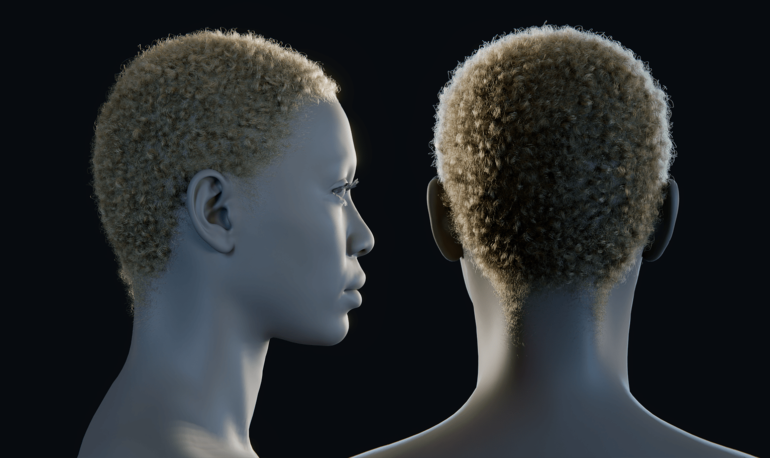 PixelHair ready-made 3D hairstyle of Doja Cat Afro Curls in Blender