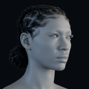 PixelHair ready-made 3D Dreads curly pigtail bun Hairstyle in Blender