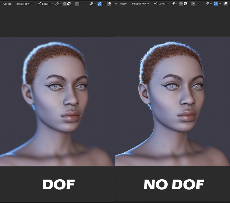 Camera depth of field blender